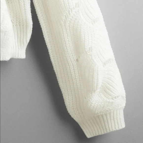 🤩host pick!🤩Pointelle knit ivory sweater - Picture 4 of 6